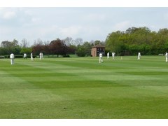 Harrow Cricket Club, Main Ground